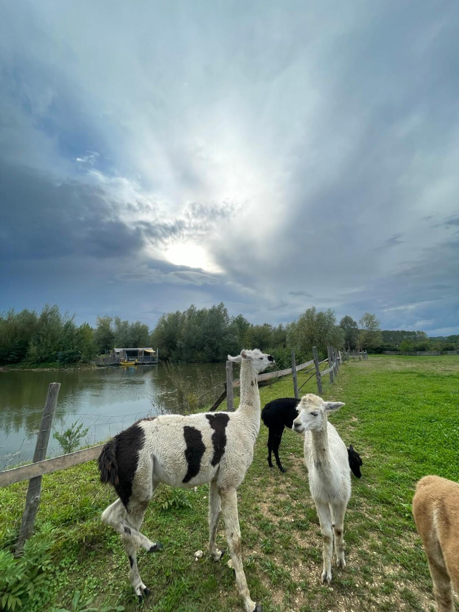 Lodges Des Grands Crus Chablis Exterior foto